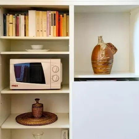 - Anthurium Apartment
