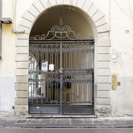 - Anthurium Florence