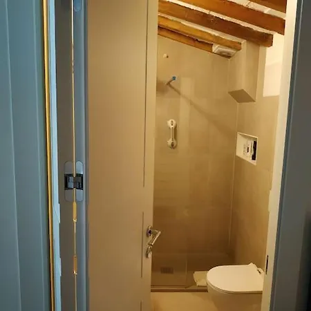 - Anthurium Apartment
