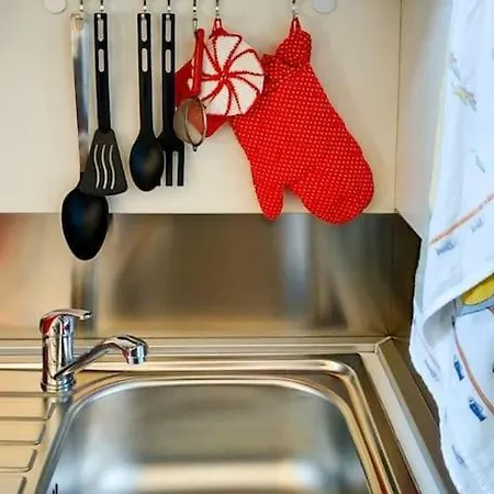 - Anthurium Apartment *
