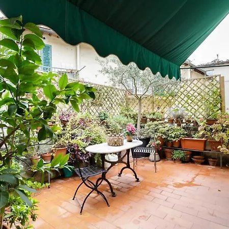 - Anthurium * Florence