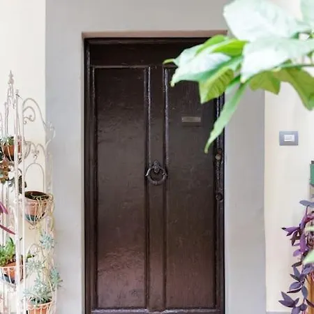Apartment - Anthurium