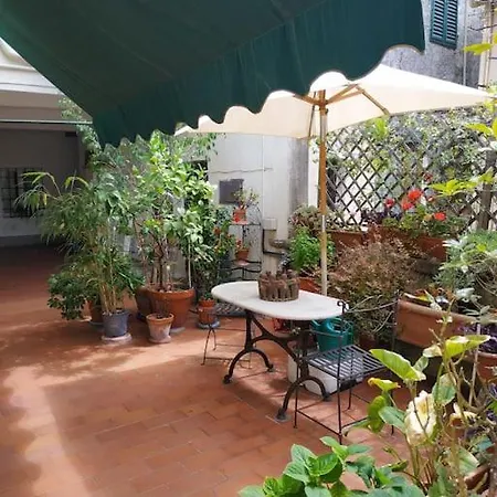 Apartment - Anthurium *