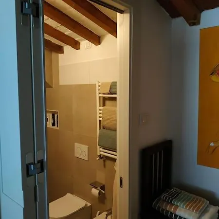 - Anthurium Apartment