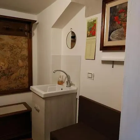 - Anthurium Apartment Florence
