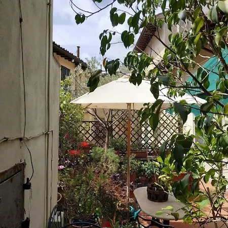 Apartment - Anthurium Florence